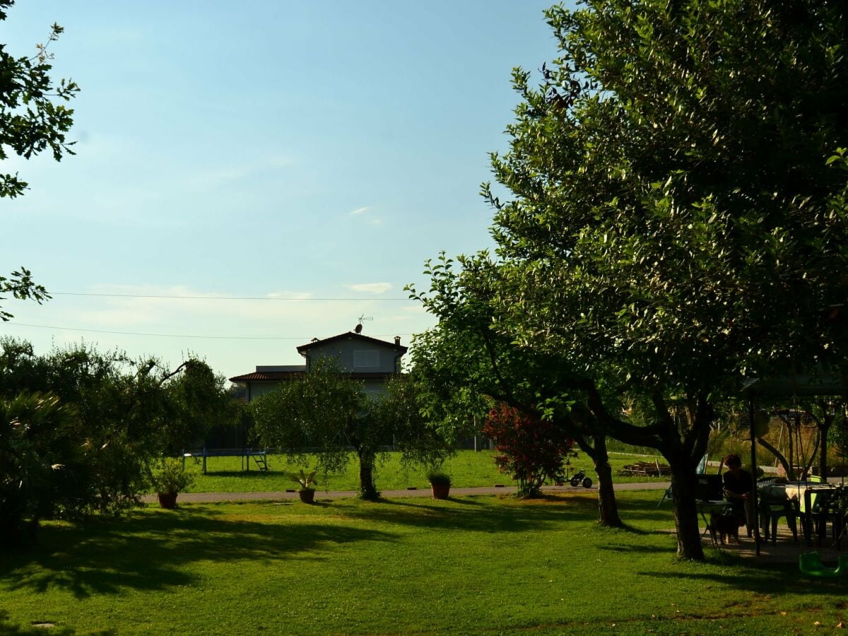 Ferienhaus Marina di Massa Umgebung 31