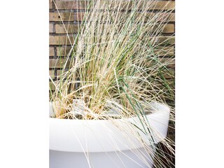 Appartamento per vacanze Egmond aan Zee Registrazione all'aperto 3