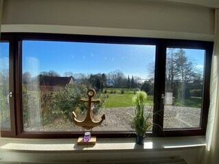 Blick in den Garten