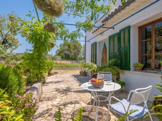 TERRAZA 1
