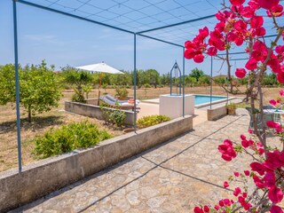 Casa de campo Selva  26