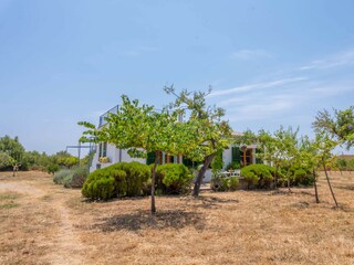 Casa de campo Selva  31