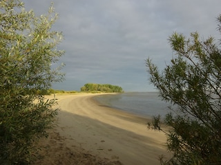 Strand Krautsand