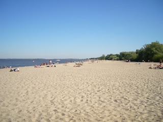 Strand Krautsand