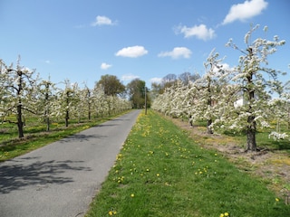 Zufahrt zum Ferienhaus