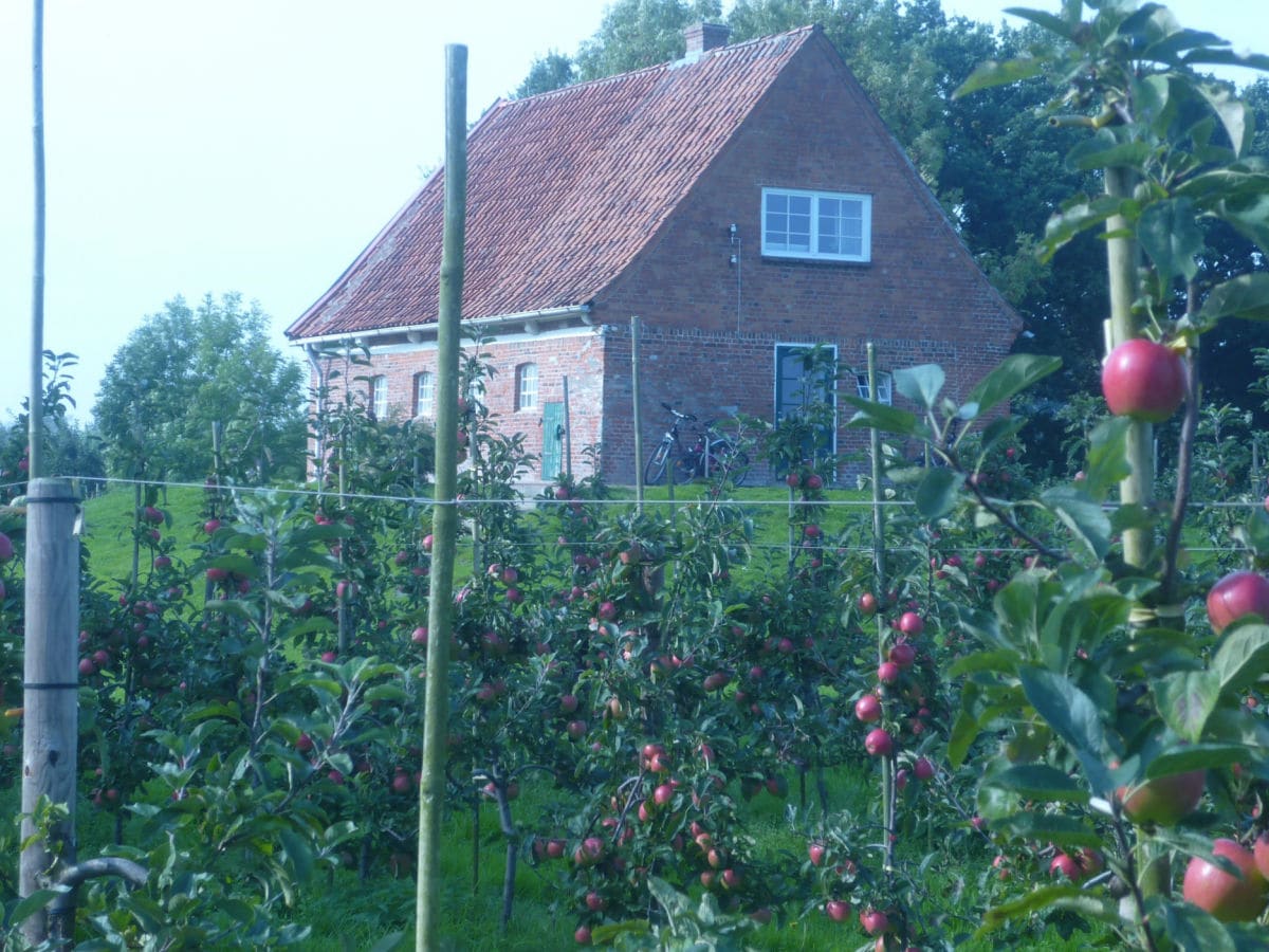 Ferienhaus Altes Backhaus