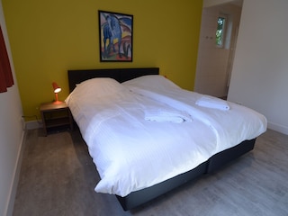 Villa De Koog Caratteristiche 9