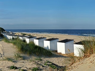 Villa De Koog Ambiente 18