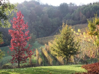 Casa de campo Ciglie Entorno 35