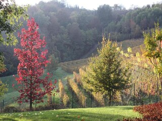 Casale Ciglie Ambiente 38