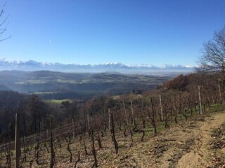 Type de propriété : Chalet Ciglie Environnement 33