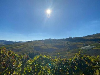 Type de propriété : Chalet Ciglie Environnement 30