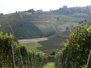 Casale Ciglie Ambiente 28