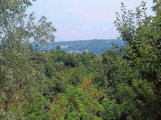 Type de propriété : Chalet Ciglie Environnement 31