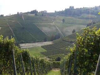 Casale Ciglie Ambiente 37