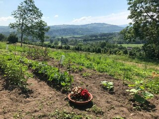 Type de propriété : Chalet Ciglie Environnement 26
