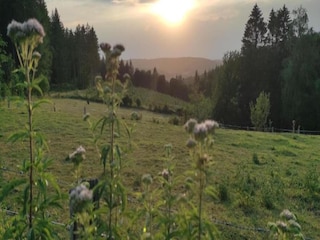 Maison de vacances Erezée Environnement 28