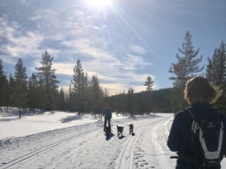 Langlauf in der Umgebung