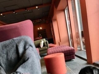 Besuch eines Cafe´