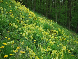 Appartement Sondershausen Environnement 29