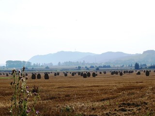 Appartement Sondershausen Omgeving 30