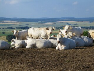 Appartement Sondershausen Omgeving 27