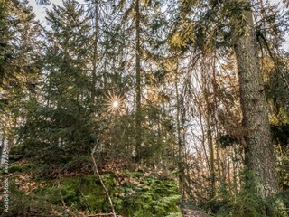 Appartement Sondershausen Omgeving 37