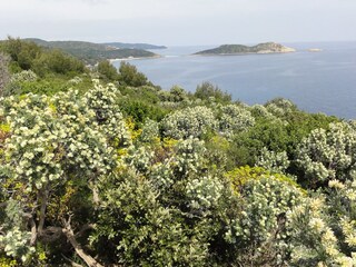 Casa per le vacanze La Croix-Valmer Ambiente 25