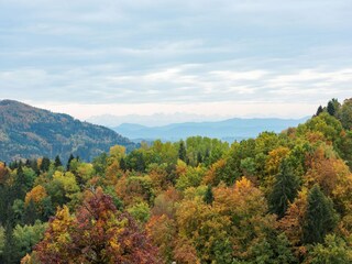 Appartement Raich Buitenaudio-opname 2