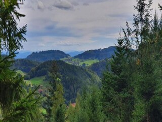 Appartement Raich Omgeving 34