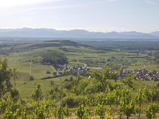 Appartement Raich Omgeving 29