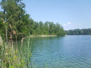 Apartment Raich Environment 26