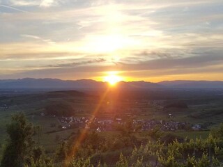 Apartment Raich Umgebung 32