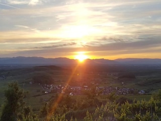 Appartement Raich Environnement 36