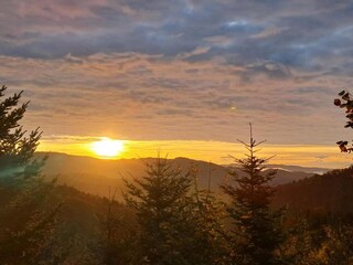 Appartement Raich Environnement 32