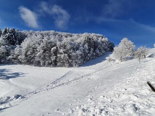 Apartamento Raich Entorno 30