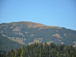 Apartment Raich Umgebung 29