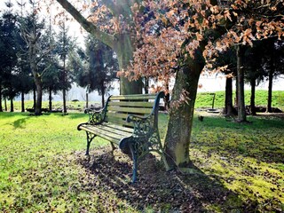 Casa de vacaciones Rendeux  37