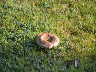 Casa de vacaciones Rendeux Entorno 32