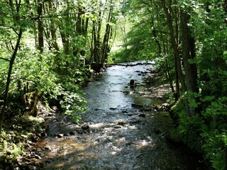 Casa per le vacanze Rendeux Ambiente 36
