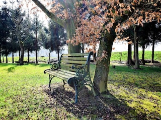 Ferienhaus Rendeux  39