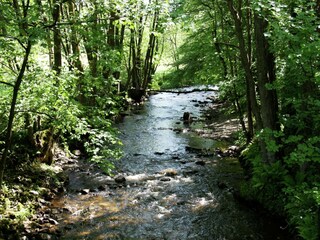 Vakantiehuis Rendeux Omgeving 33