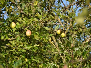 Maison de vacances Rendeux Enregistrement extérieur 2