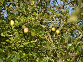 Maison de vacances Rendeux Enregistrement extérieur 3