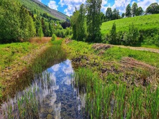 Casa per le vacanze Zottegem Ambiente 25