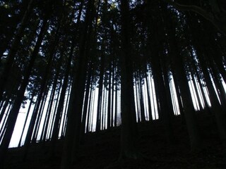 Casa per le vacanze Houffalize Ambiente 33