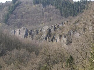 Maison de vacances Houffalize Environnement 32