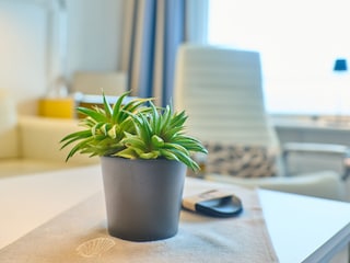 wohnliche Details - zum Wohlfühlen