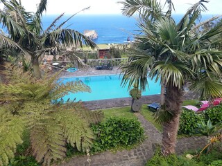 Der Pool für unsere Gäste. ( Solarheizung)