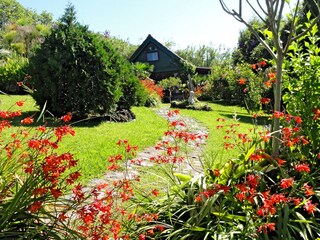 Holiday house Mosteiros Environment 4